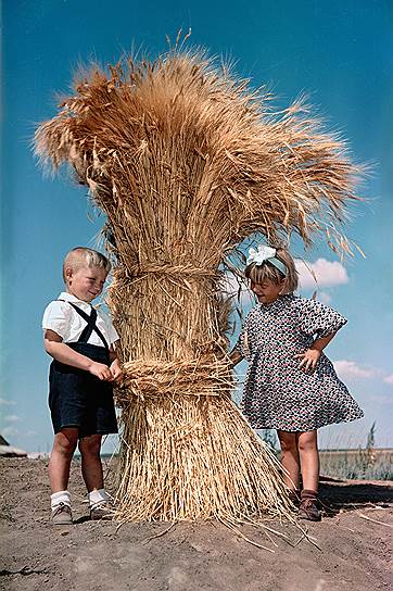 1956 году в СССР был собран рекордный урожай в 125 млн тонн зерновых, половина из них была получена на целинных землях&lt;br>«Хлеб целины»