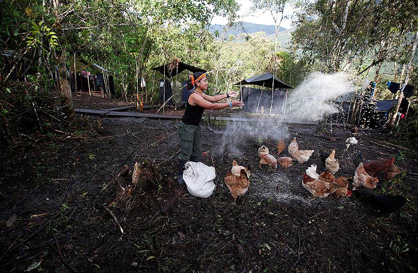 Патриция кормит кур, которых содержат прямо в лагере Cordillera Oriental