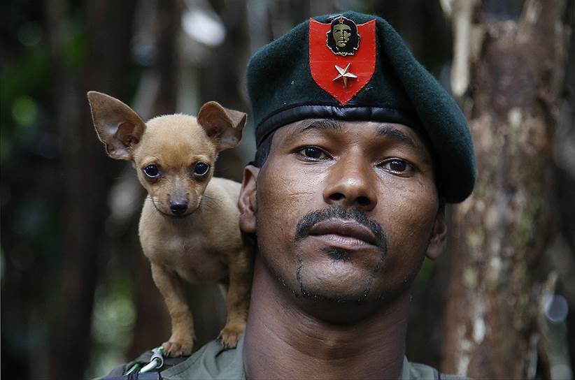 Солдат «Революционных вооруженных сил Колумбии» (FARC) со своей собакой в джунглях Путумайо. Всего в FARC состоит около 7 тыс. бойцов