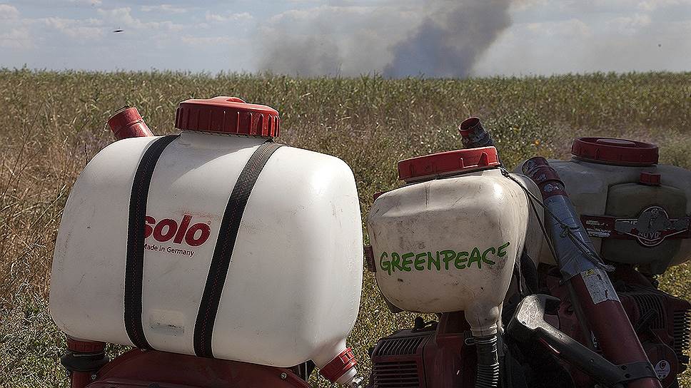 Почему экологов, приехавших на Кубань бороться с огнем, назвали предателями