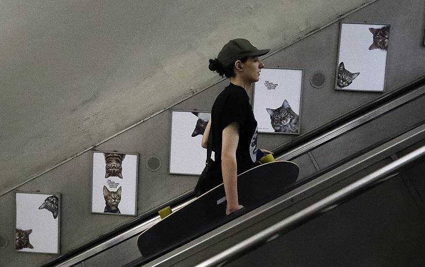 Лондон, Великобритания. Активисты на станции метро Clapham Common заменили рекламные плакаты на изображения котов из приюта для животных. Акцию провели на пожертвования жителей района — в общей сложности удалось собрать &amp;#163;23 тыс.