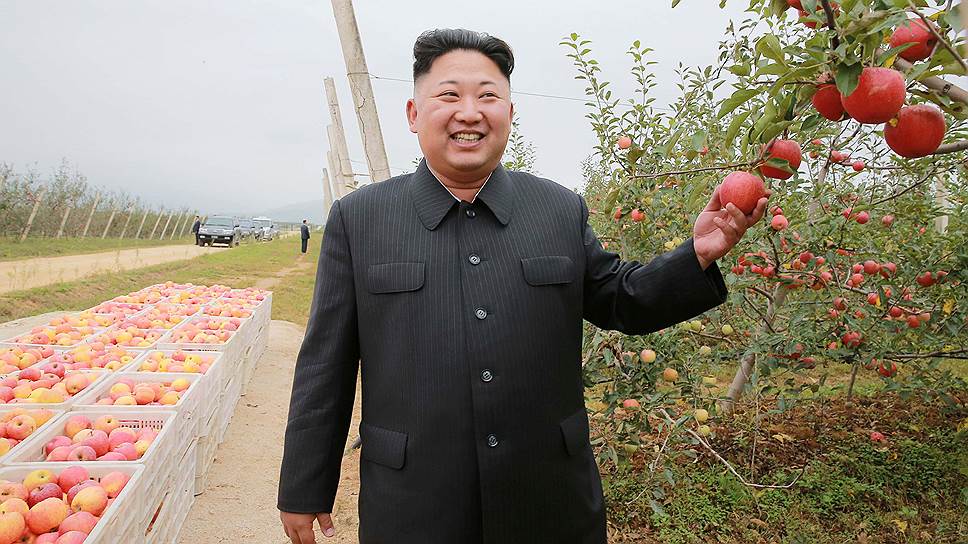 В каком случае Южная Корея будет готова ликвидировать Ким Чон Ына