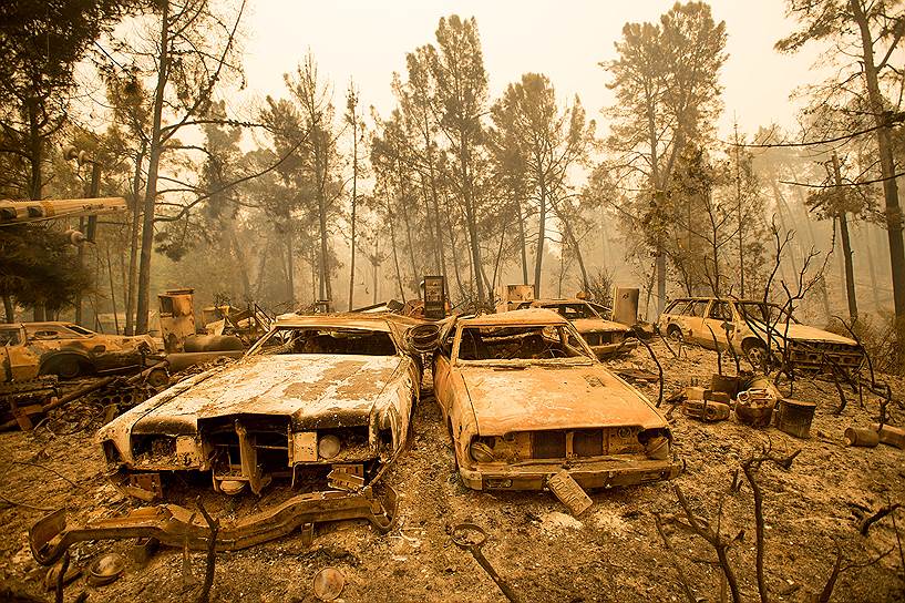 Морган Хилл, США. Сгоревшие в сильном лесном пожаре ретро-автомобили 