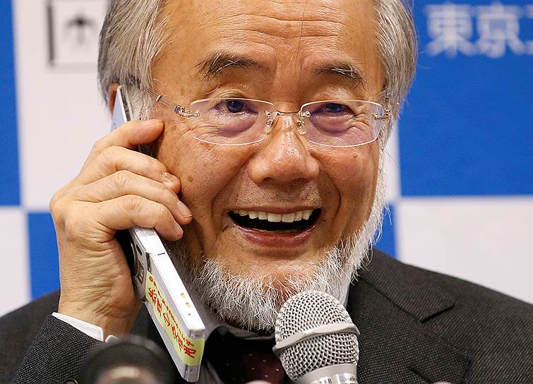 Нобелевскую премию за достижения в области медицины присудили японскому ученому-биологу Ёсинори Осуми. Приз он получил за написанную еще в 1990-ых работу о деградации белков из-за аутофагии — процесса уничтожения внутриклеточного мусора и омоложения