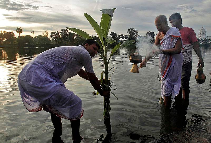 Агартала, Индия. Жрецы читают молитвы перед стволом бананового дерева во время фестиваля Дурга Пуджа
