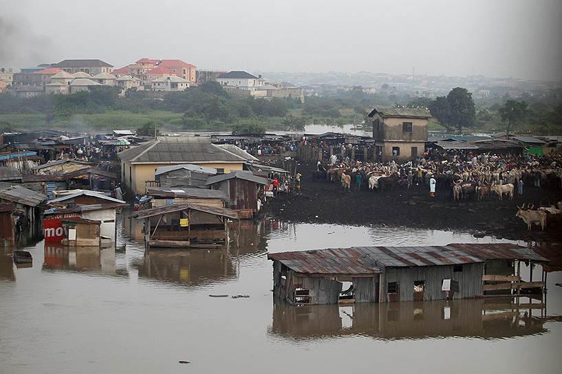 Лагос, Нигерия. Вышедшая из берегов река Огун затопила скотный рынок