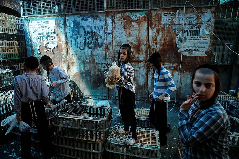 Иерусалим, Израиль. Еврейские мальчики совершают ритуал Капарот — обряд очищения, во время которого убивают жертвенную белую курицу 