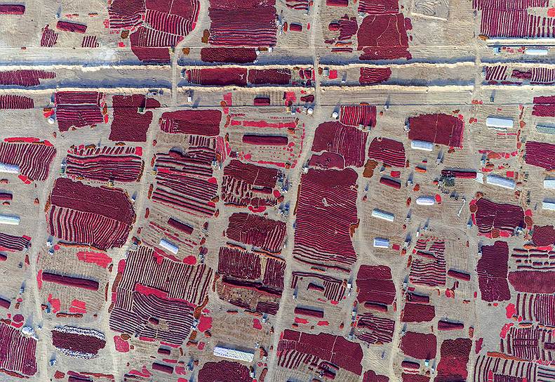 Синьцзян-Уйгурский автономный район, Китай. Аэроснимок красного перца, разложенного для просушки на солнце