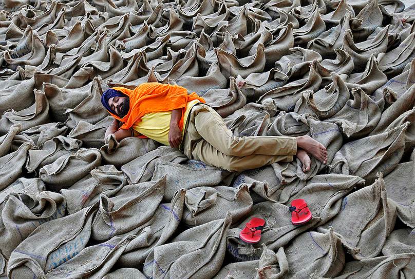 Чандигарх, Индия. Фермер лежит на мешках, заполненных рисом, на рынке