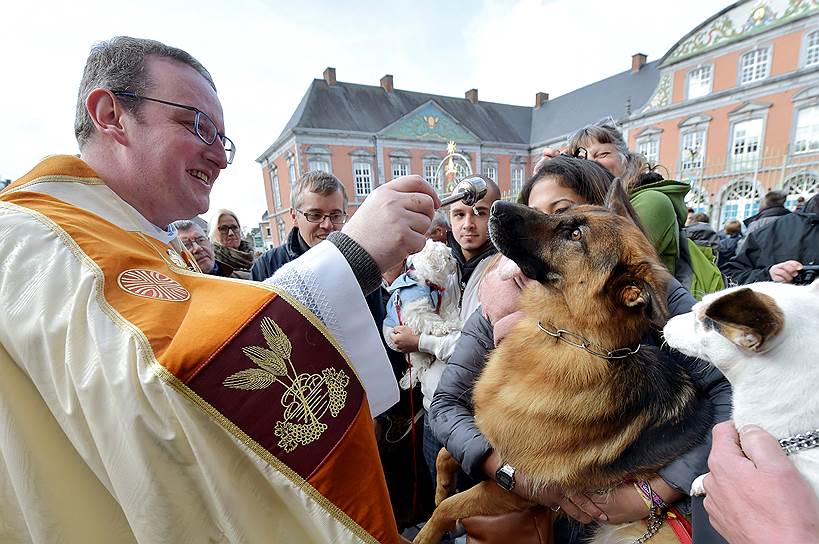 Сент-Юбер, Бельгия. Священник проводит ежегодную церемонию благословения животных возле базилики Святых Петра и Павла