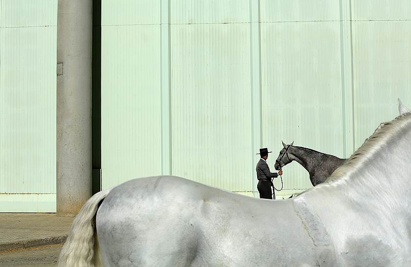 Севилья, Испания. Наездник со своей лошадью готовится к участию в выставке