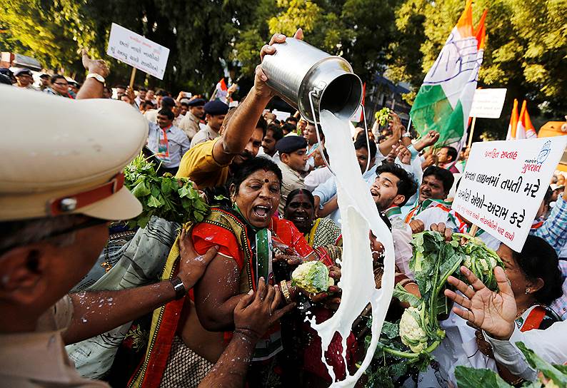 Ахмадабад, Индия. Сторонники оппозиционной партии разливают молоко на дорогу, выступая против решения правительства отменить купюры номиналом 500 и 1000 рупий