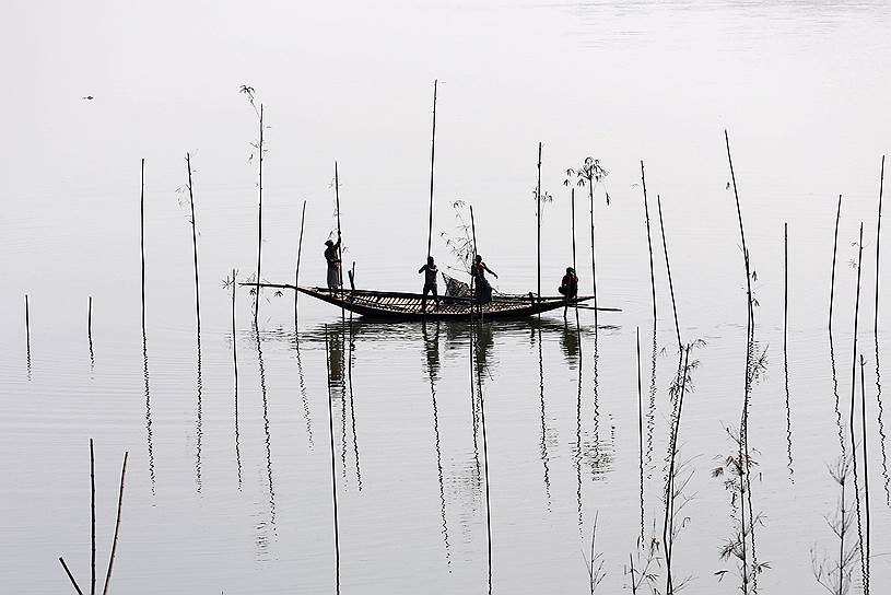Дакка, Бангладеш. Рыбаки расставляют ветки бамбука, чтобы затем натянуть на них ловушку для рыбы 