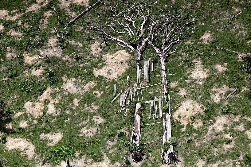 Пристальное внимание сокращение лесов Амазонии вызвало в конце прошлого века. После сильной засухи в 1970-х годах правительство Бразилии переселило жителей южных и северо-восточных регионов страны, выделив для этих целей около 5% площади тропического леса. В результате только на этом участке было уничтожено около 43% деревьев