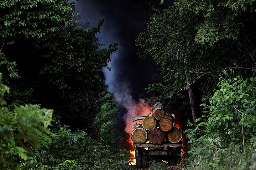 В условиях дефицита средств самым эффективным способом борьбы с незаконной вырубкой становятся поджоги браконьерских автомобилей, говорят в IBAMA 