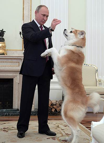 Москва, Россия. Президент Владимир Путин привел на встречу с японскими журналистами собаку породы акита по кличке Юмэ, которую 4 года назад ему подарили японские дипломаты