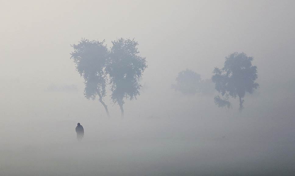 Хисар, Индия. Местный фермер идет по полю, окутанному туманом