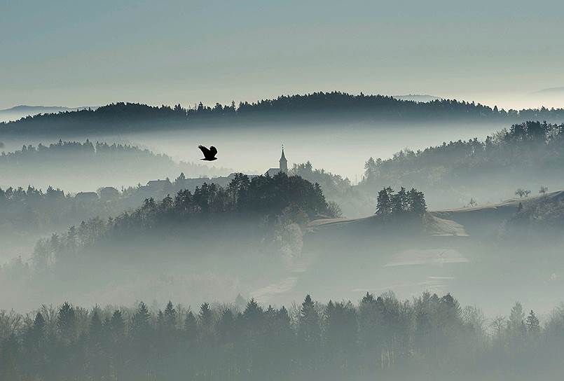 Жлебе, Словения. Птица летит над холмами, покрытыми туманом