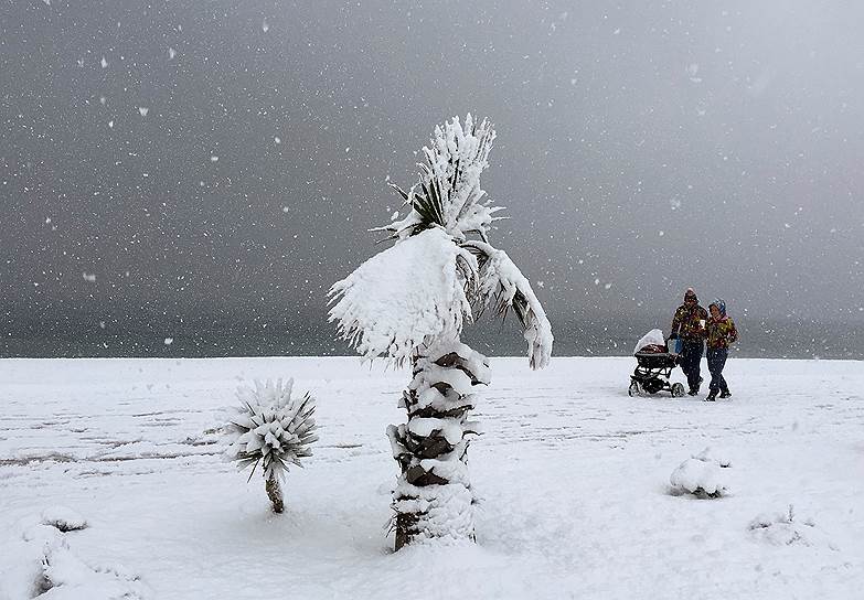 Сочи, Россия. Семейная пара во время снегопада