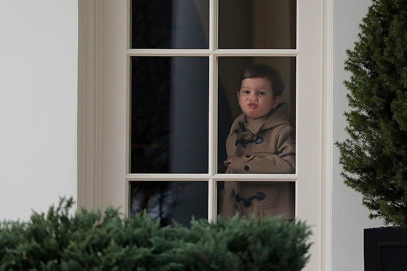 Вашингтон, США. Внук Дональда Трампа Джозеф Кушнер смотрит из окна Овального кабинета