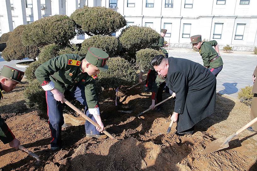 Пхеньян, Северная Корея. Ким Чон Ын во время традиционного Дня посадки деревьев