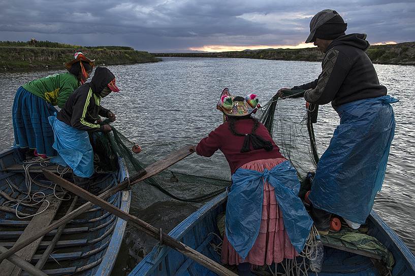 Загрязнение озера Титикака приводит к размножению водорослей на поверхности, что нарушает уникальную экосистему и грозит вымиранием нескольким видам рыбы