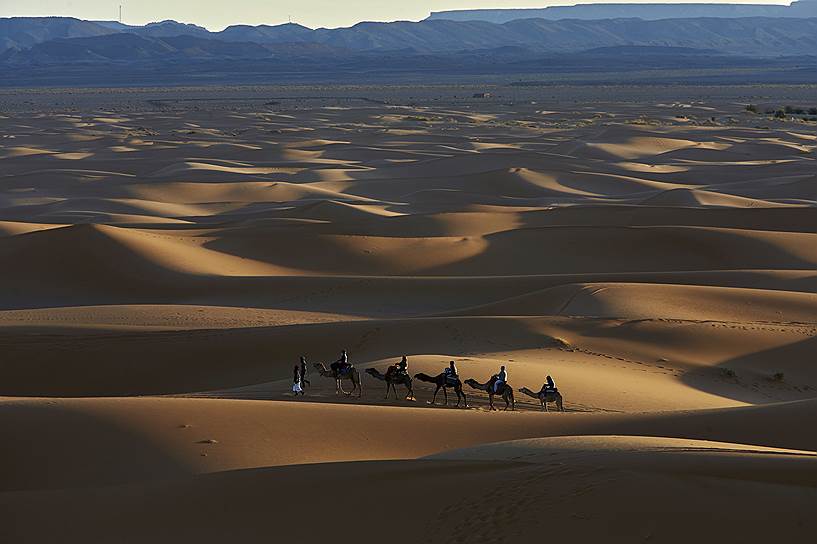 Мерзуга, Марокко. Туристы на верблюдах в Атласских горах