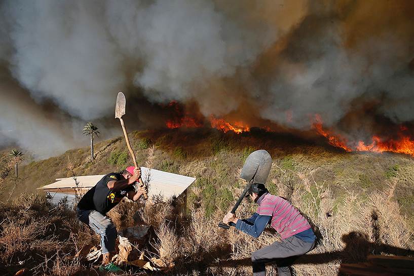 Винья-дель-Мар, Чили. Жители делают ров, чтобы предотвратить распространение лесного пожара на дома