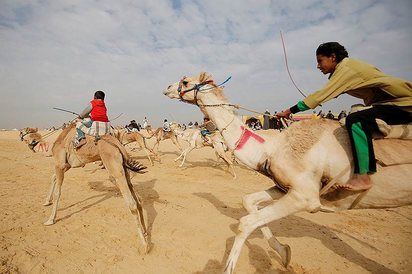 Исмаилия, Египет. Наездники на церемонии открытия международных скачек на верблюдах 