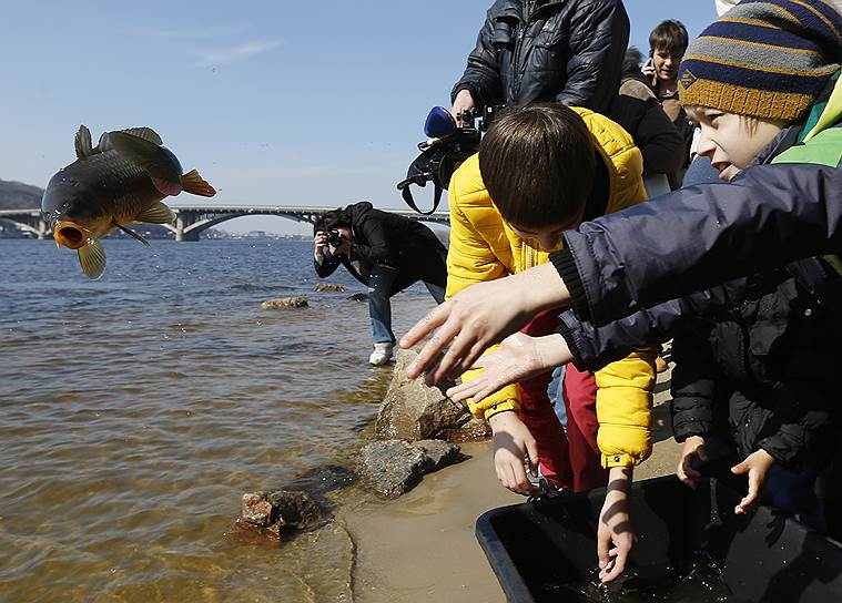Киев, Украина. Школьники выпускают рыбу в Днепр в рамках акции по восстановлению экосистемы реки
