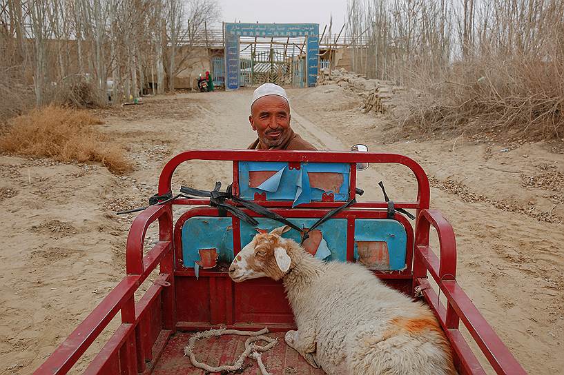 Еще одной причиной пристального внимания к уйгурам со стороны властей КНР стал проект «Один пояс — один путь» — часть торгового маршрута Нового Шелкового пути, который начинается в СУАР и через страны Средней Азии и Иран ведет в Европу