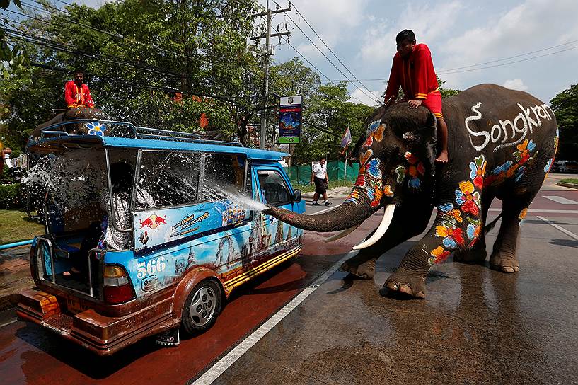 Аюттхая, Таиланд. Слон поливает туристов водой во время праздника Сонгкран