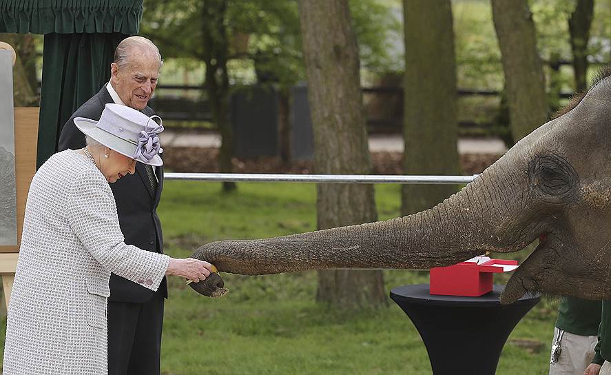 Лондон, Великобритания. Королева Елизавета II здоровается со слоненком Елизаветой в Уипснейдском зоопарке