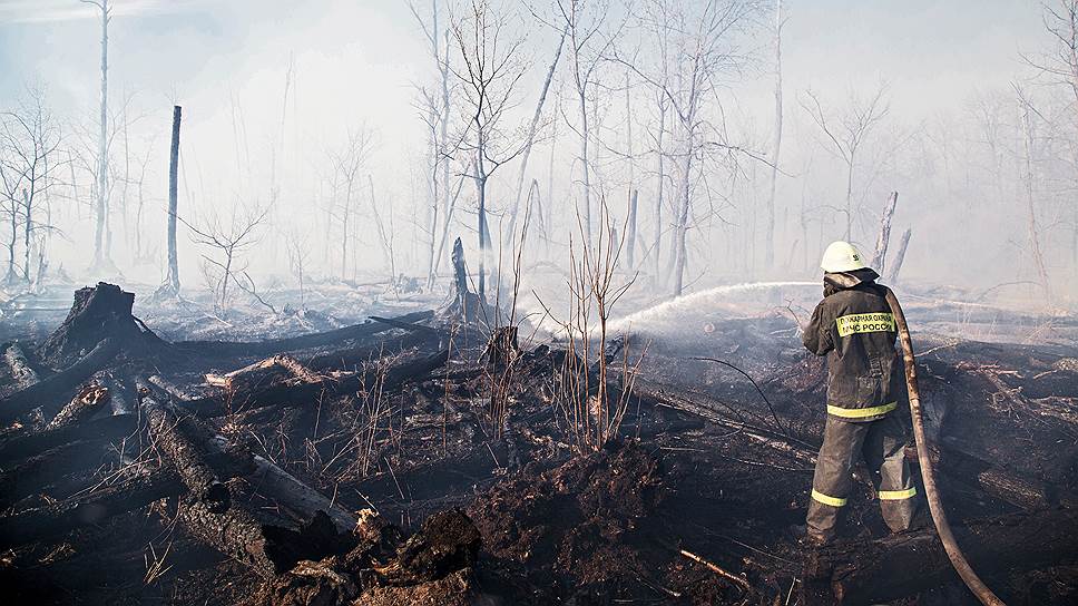 В СФО объявлен режим ЧС из-за лесных пожаров