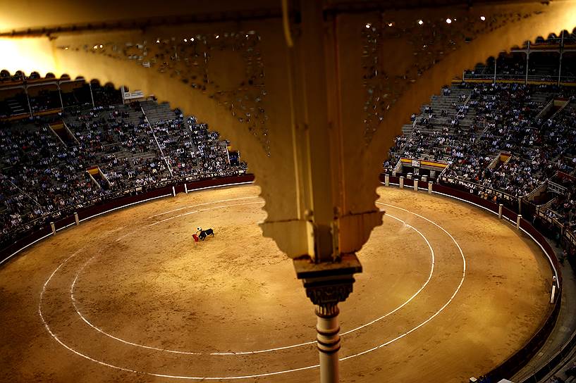 Мадрид, Испания. Испанский тореадор Роман Койадо во время боя с быком на арене Las Ventas