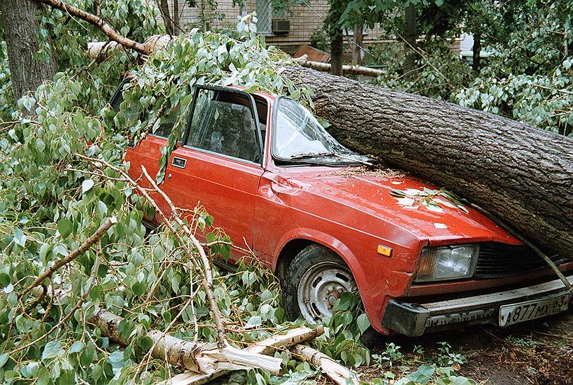 20–21 июня 1998 года в результате урагана в Москве погибли, по разным данным, от восьми до 11 человек. Еще около 200 получили ранения. Было повалено свыше 48 тыс. деревьев, повреждено 2157 жилых строений, нарушена работа транспорта