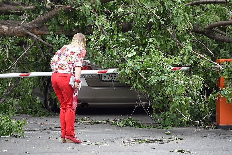 13 июля 2016 года в Москве при урагане пострадали семь человек, один погиб. Ветер, достигавший 20 м/с, повалил 300 деревьев. Было подтоплено 27 участков дорог