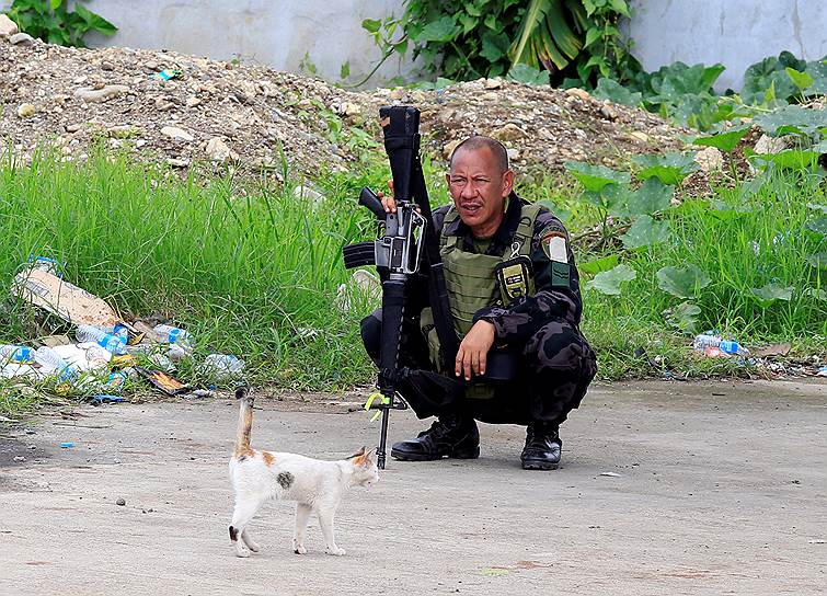Марави, Филиппины. Кот проходит мимо отдыхающего солдата