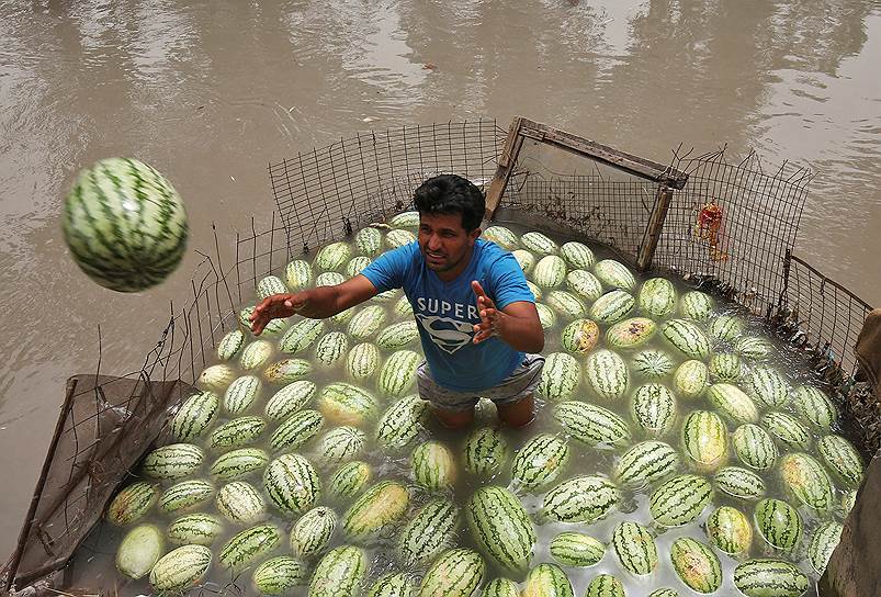 Джамму, Индия. Продавец кидает покупателю арбуз, который охлаждается в воде