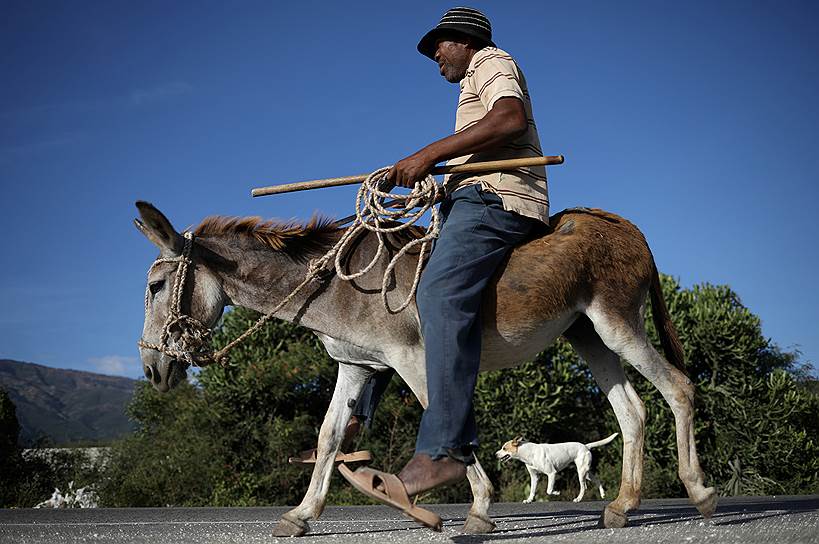 Гантье, Гаити. Фермер едет на полевые работы на осле