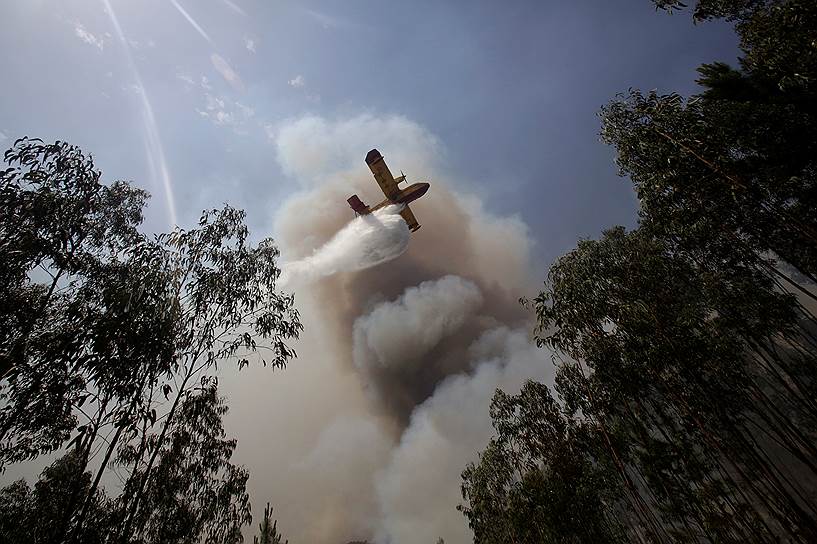 Лорисейра, Португалия. Спасательный самолет тушит лесной пожар