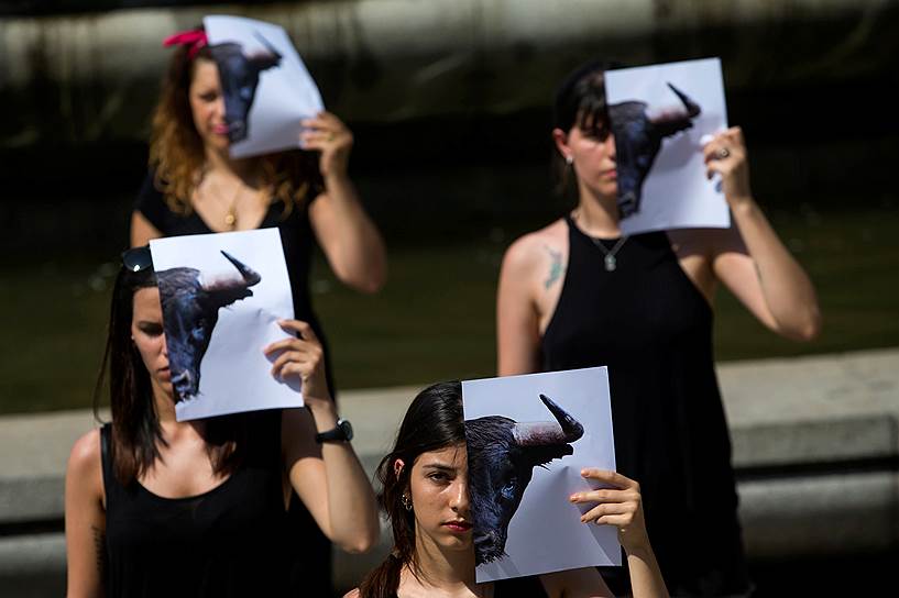 Мадрид, Испания. Борцы за права животных во время акции против проведения корриды 
