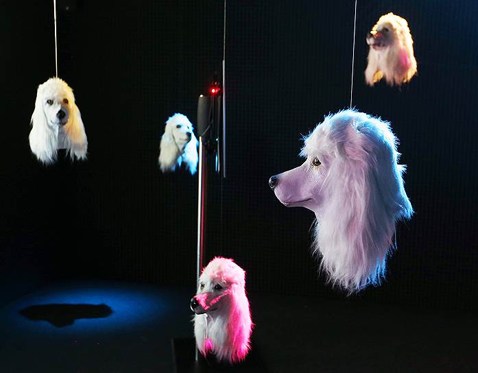 Франкфурт-на-Майне, Германия. Выставка британской художницы Хизер Филлипсон, состоящая из искусственных собачьих голов