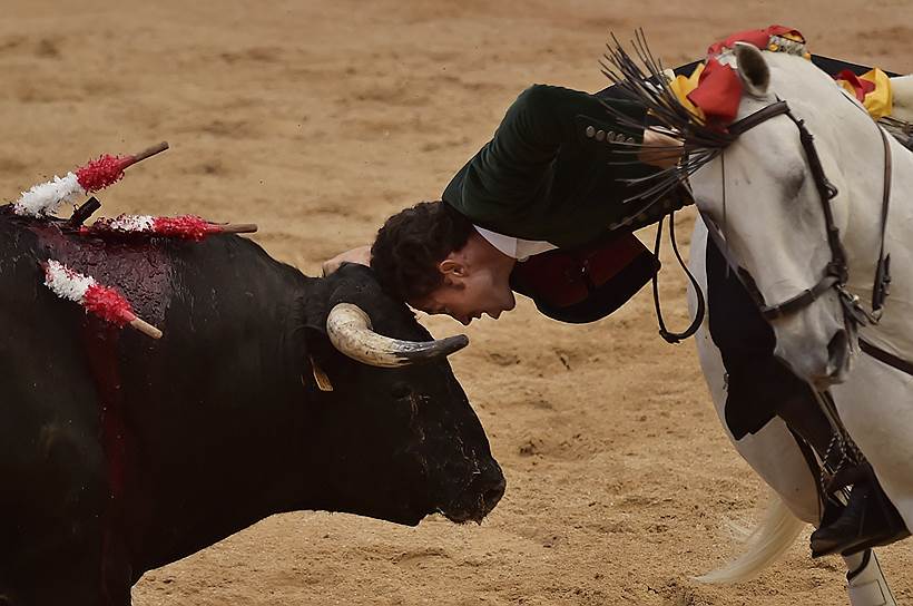 Памплона, Испания. Тореадор наклоняется, чтобы коснуться головой быка во время Корриды