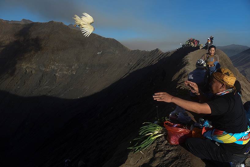 Проболинго, Индонезия. Житель деревни бросает цыпленка в кратер во время ритуала на празднике Касада