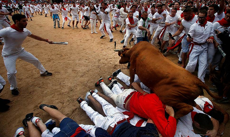 14 июля. В Испании завершился фестиваль Сан-Фермин, во время которого на улицах Памплоны устраивают забеги с быками. Проводится он ежегодно уже более восьми столетий 