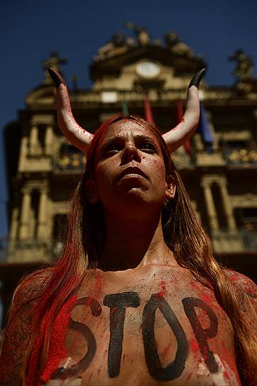 Демонстранты выступали против убийства быков и отмену фестиваля Сан-Фермин