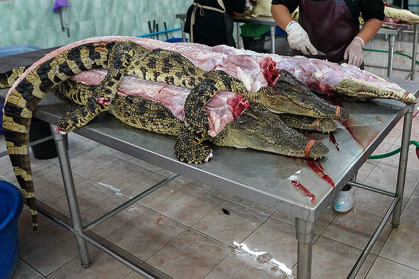 В Таиланде мясо крокодила консервируют вместе с китайскими травами и черными грибами
