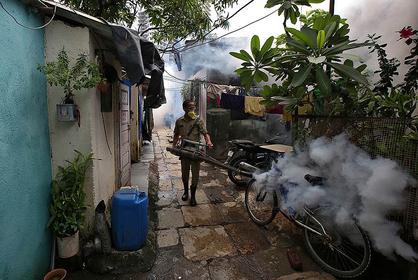 Мумбаи, Индия. Муниципальный работник травит комаров в районе трущоб, чтобы предотвратить распространение лихорадки денге и других заболеваний 
