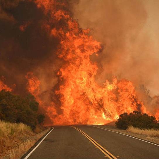 Марипоса, Калифорния. Перекрывший дорогу огонь во время лесного пожара 